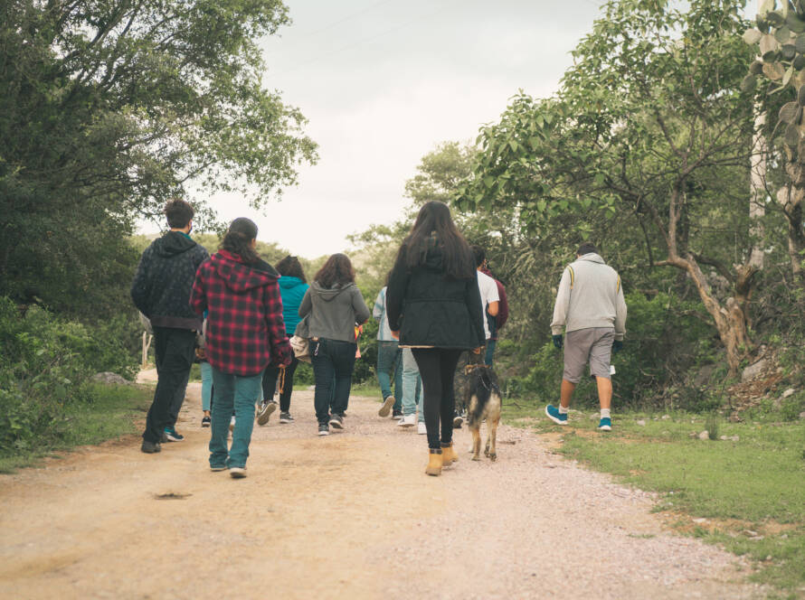 A group walking in the woods